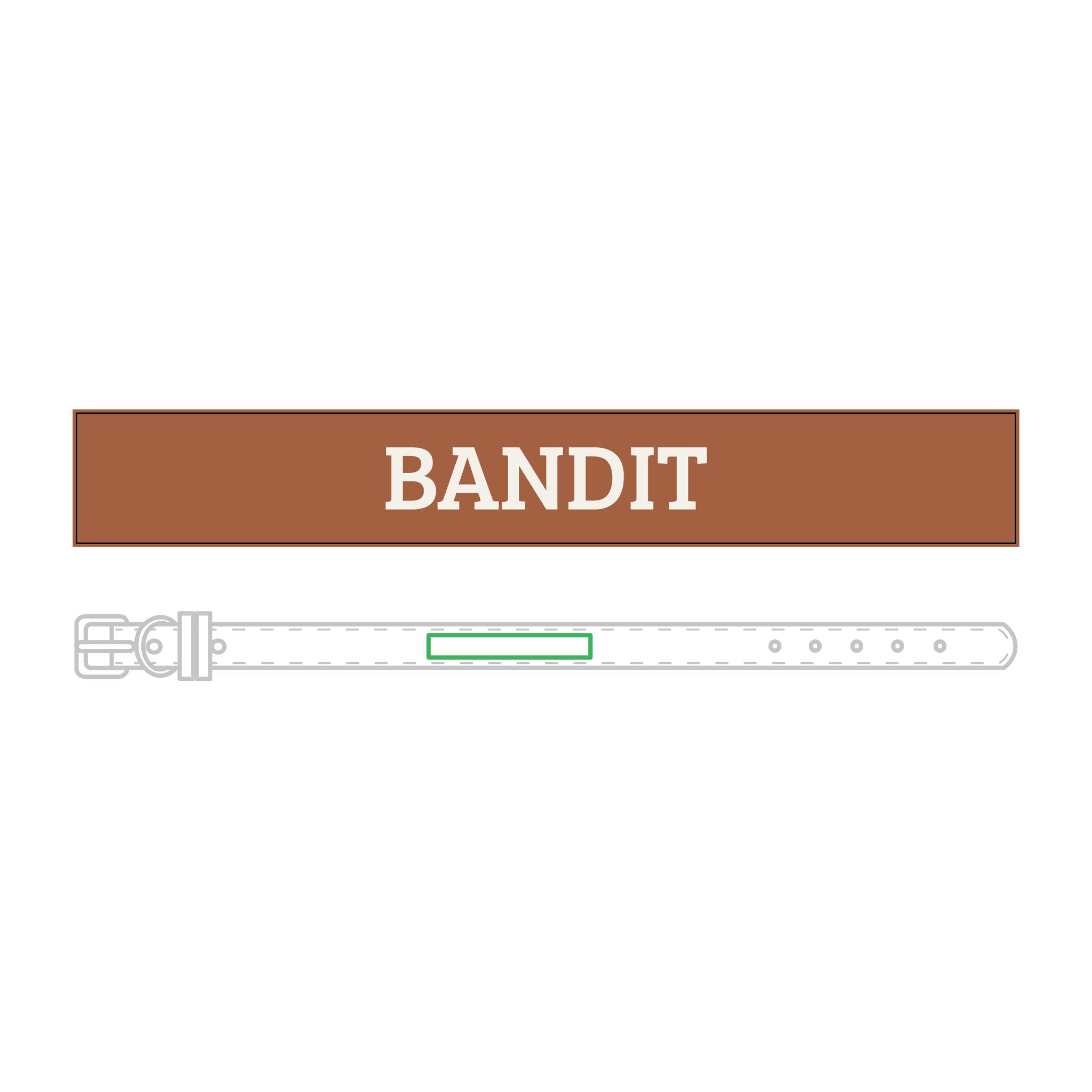 Personalized Leather Pet Collar — Personalized Engraved Name