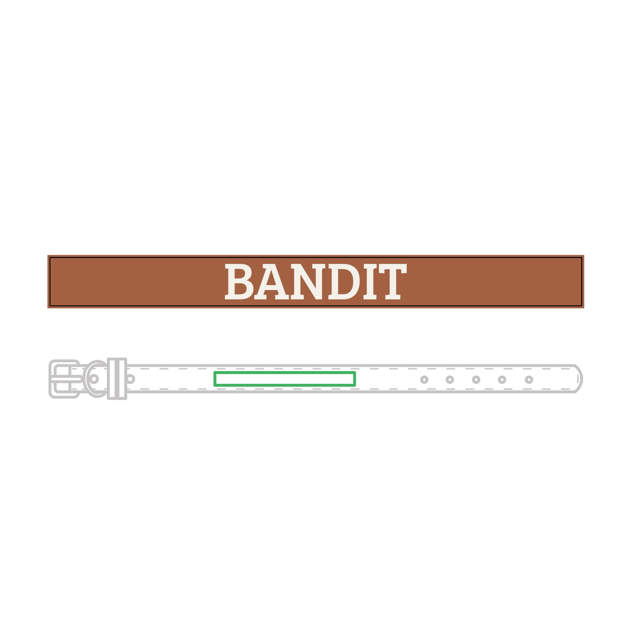 Personalized Leather Pet Collar — Personalized Engraved Name