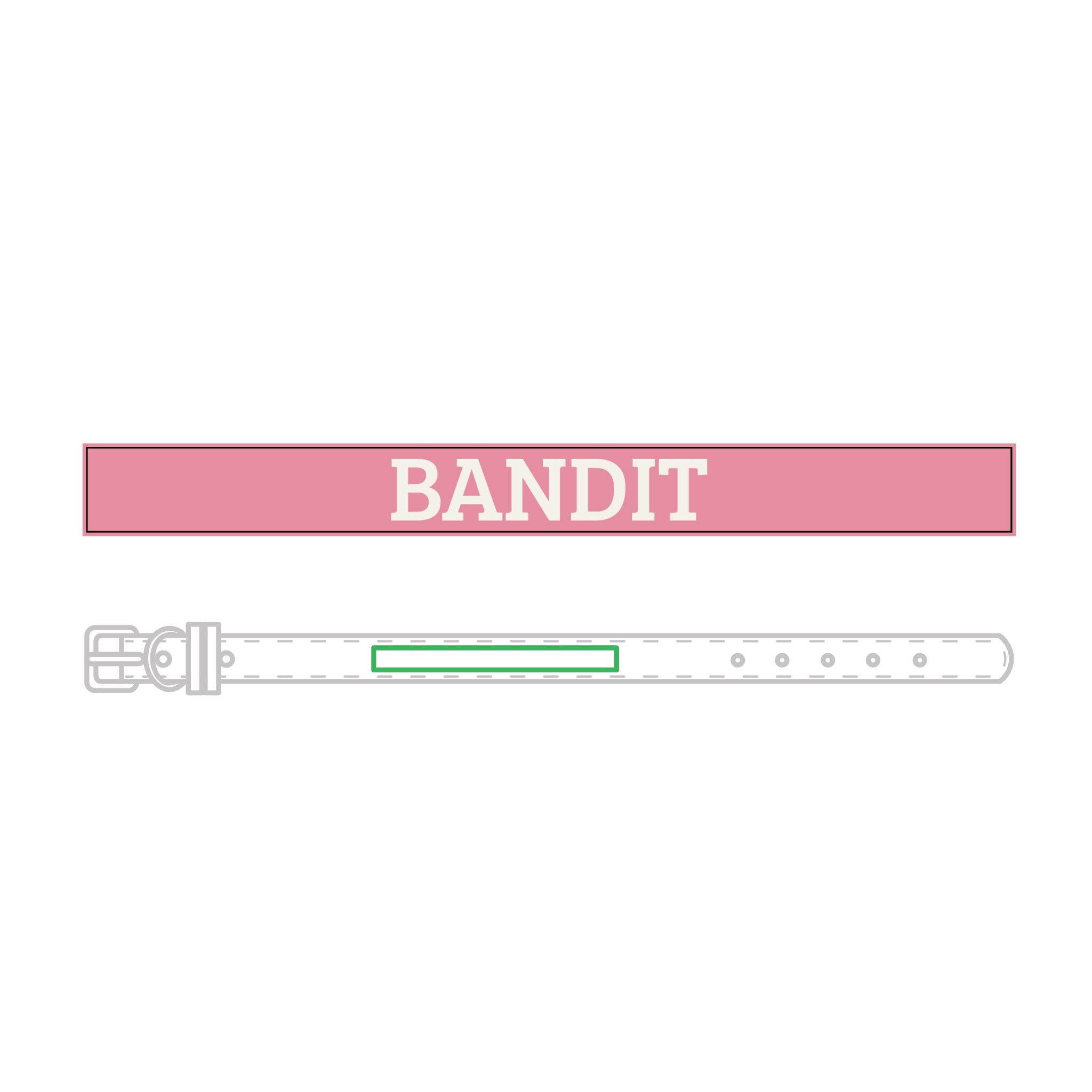 Personalized Leather Pet Collar — Personalized Engraved Name
