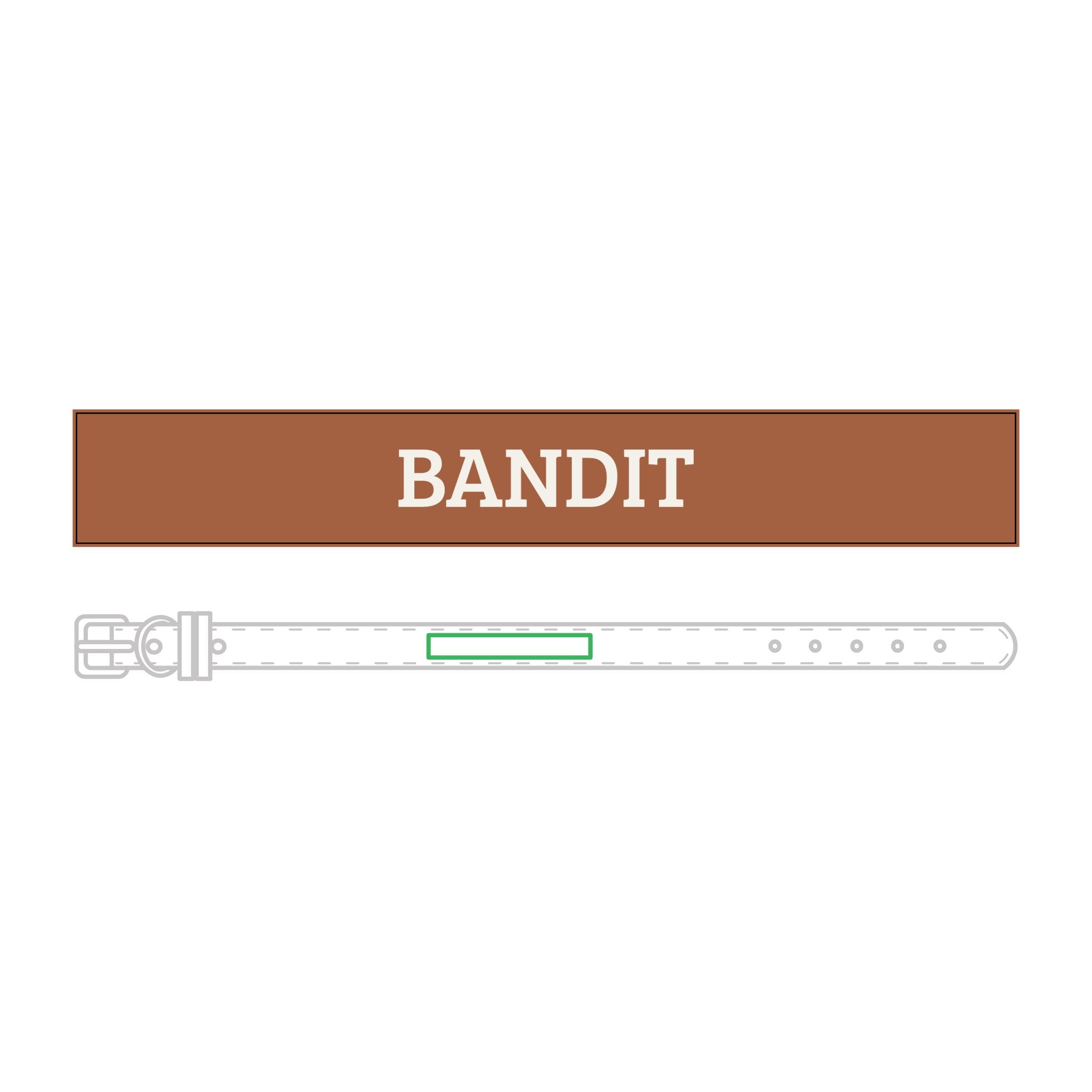 Personalized Leather Pet Collar — Personalized Engraved Name